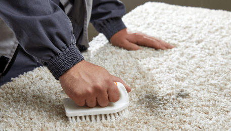 Professional Rug Cleaning Park Orchards