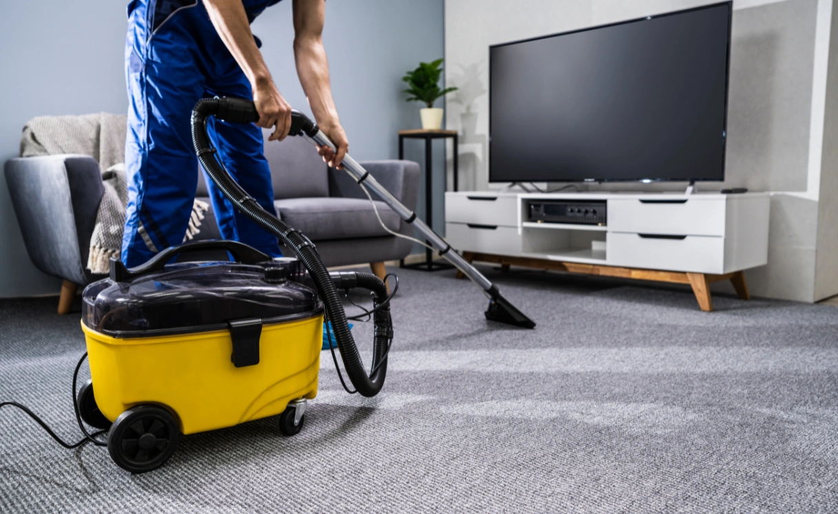 Extract Rug Cleaning Park Orchards Contact Office